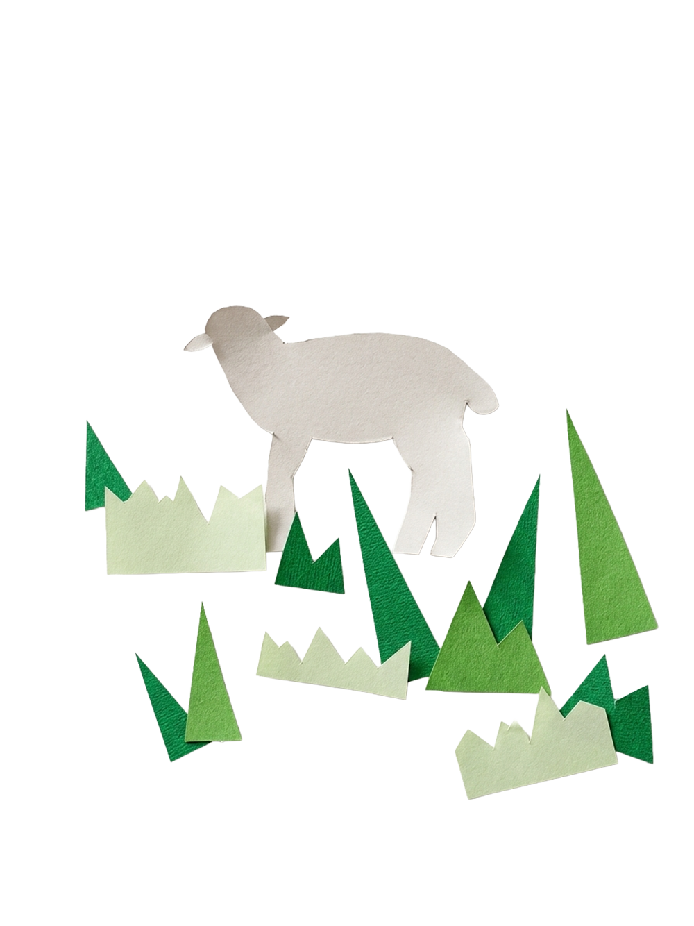 Instagram post example with tshirt